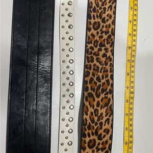 Bundle of (3) Express Belts
